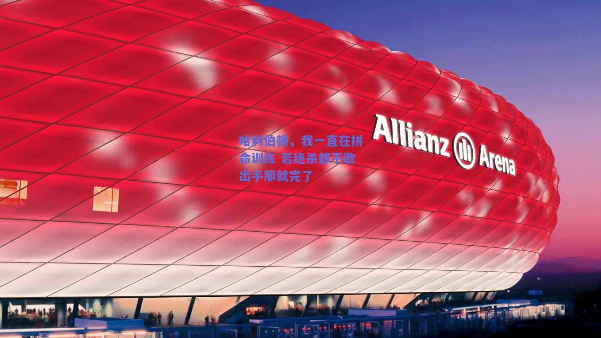 哈利伯顿，我一直在拼命训练 若绝杀都不敢出手那就完了