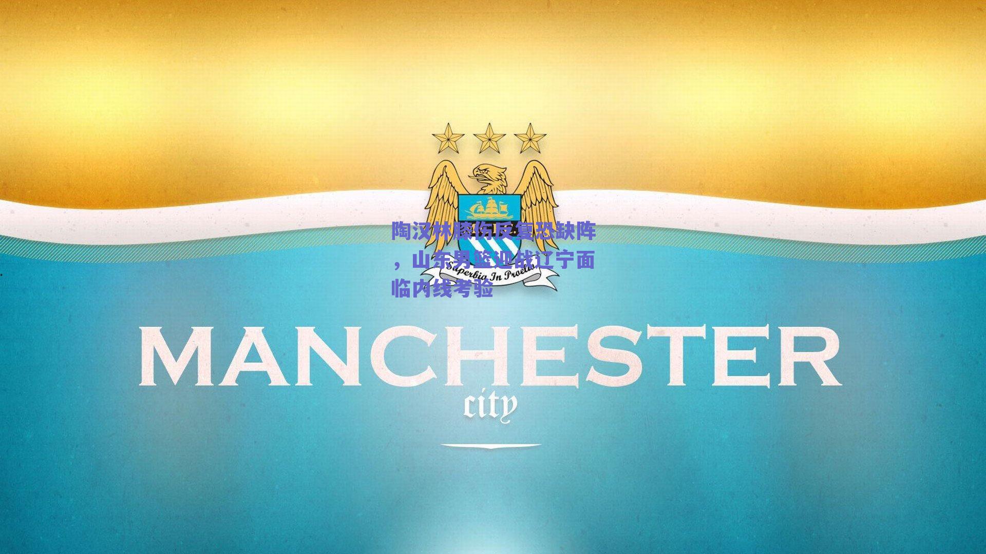 陶汉林膝伤反复恐缺阵，山东男篮迎战辽宁面临内线考验